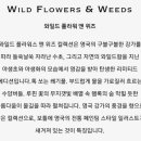 위즈앤 이미지