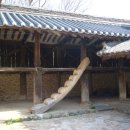 달전 - 998 | 달전