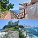 바다향기로 | 속초 갈만한곳 외옹치항 둘레길 바다향기로 해수욕장 애견동반