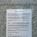 멍플 이미지