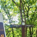 광원리 월둔교 이미지