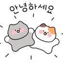 신라뽀또