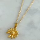 데이지플라워 이미지