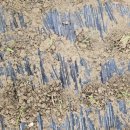 혜림농장 이미지