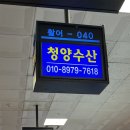 [노량진 횟집 추천] 청양수산 방어광어회 소자 후기 끄트머리식당 이용 후기