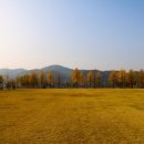 여주-0909 Daum카페