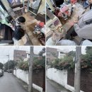 아랑조아 | 여름이라는 마법의 힘을 빌려서