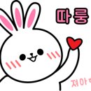 더데일리펫샵 이미지