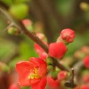 소묘·수채화 이미지