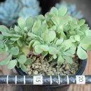 상학농장 이미지