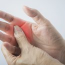 신흥수지 이미지