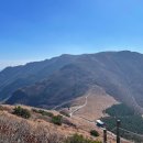 행복한사슴농장 이미지