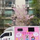 멍즈니랜드 네이버블로그