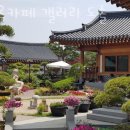 강화카페 한옥카페 갤러리 도솔 분위기 가볼만한곳