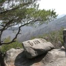 선인5리 Daum카페