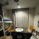 카멜리아 이미지