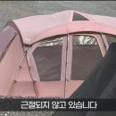 날이 따듯해지자 다시 돌아온 텐트 알박기 이미지