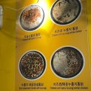 청원 바베큐 한방통닭 | [종로5가 맛집] 부모님과 외식으로 최고였던 누룽지통닭 찐맛집, 종로 청원바베큐한방통닭