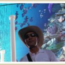 아쿠아수족관 이미지