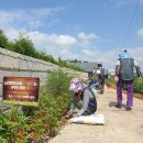 차리인동네 이미지