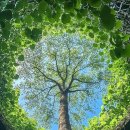 타로심리상담사 이미지