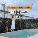 스테이 유수 네이버블로그