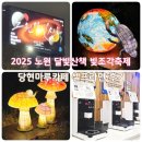 달빛 1교 | 2025 노원달빛산책 당현마루카페 셀프라면
