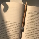 삽다리반점 | 우리를 천천히 피할 수 없는 죽음으로 인도하는, 멈출 수 없는 시간의 흐름입니다
