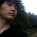 최대식농장 Daum카페