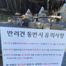 팔꽁이 이미지
