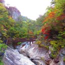 10월 23일 (목) 강원도 평창 오대산 국립공원 노인봉(12,38m) 100대 명산 단풍 산행 및소금강 단풍 관광 트레킹 예약 이미지