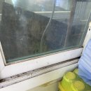 궁평항 명성호: 맛있다고? 이게?- 개큰 불호 후기
