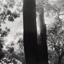 오대가한의원 이미지