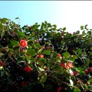 큰솔모텔 이미지