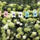 공주-44 티스토리