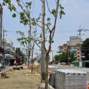 원종2동행정복지센터 이미지