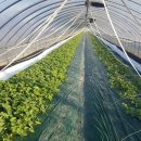 율리농장 이미지