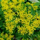 기린초등학교 이미지