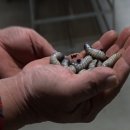 동재농장 이미지