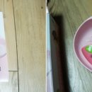 뮤캣 이미지