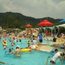 신정호야외수영장 이미지