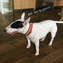 59. 부부리 플리마켓과 선물