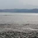 밀물민박 이미지