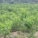 오돌개마을 이미지