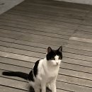 스테이캄 이미지