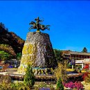 온달공원 이미지