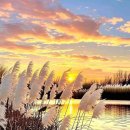 친구(親舊)란 과연 무엇일까요? 이미지