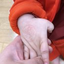 트니트니 키즈챔프2 이미지