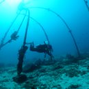 Bubble line 이미지