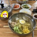 찰보리 초계냉면